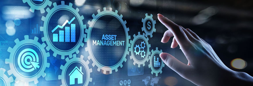 Asset management